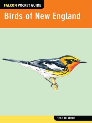 cover image of Birds of New England